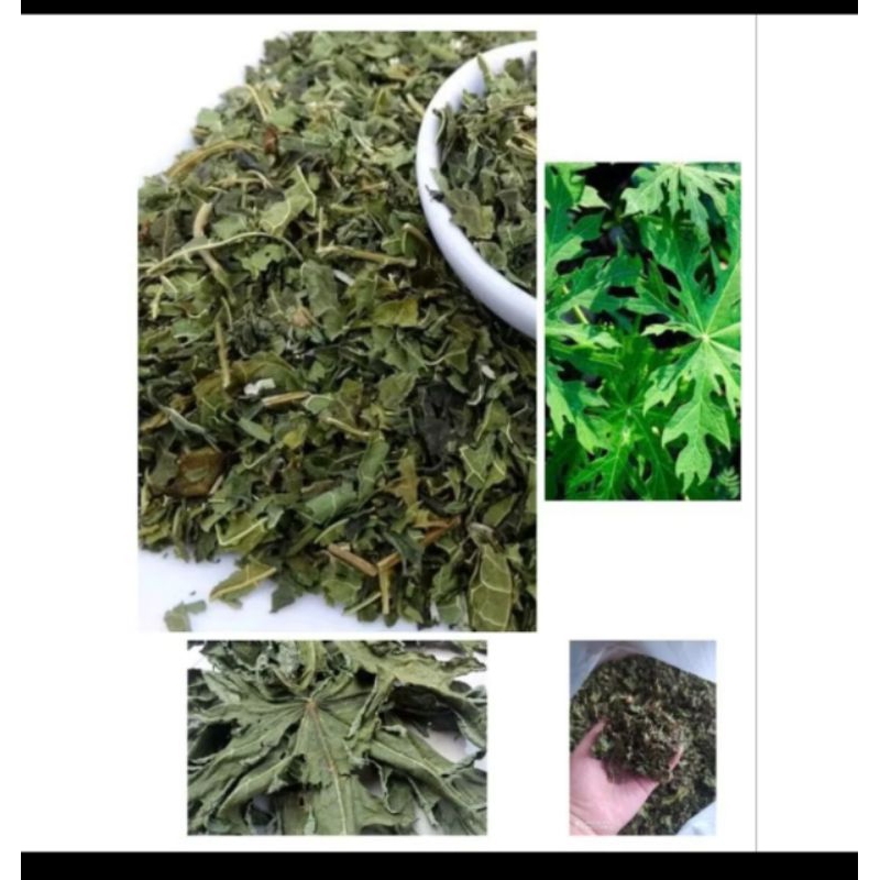 

DAUN PEPAYA JANTAN/PEPAYA KERING