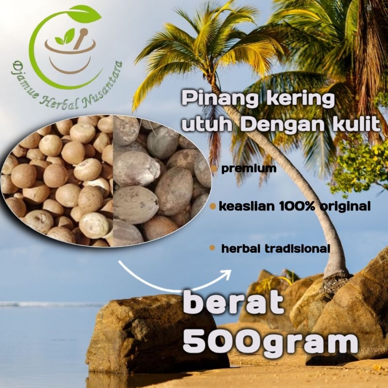 

stamina kuat pria buah pinang kering 500gram dengan kulitnya kualitas premium original