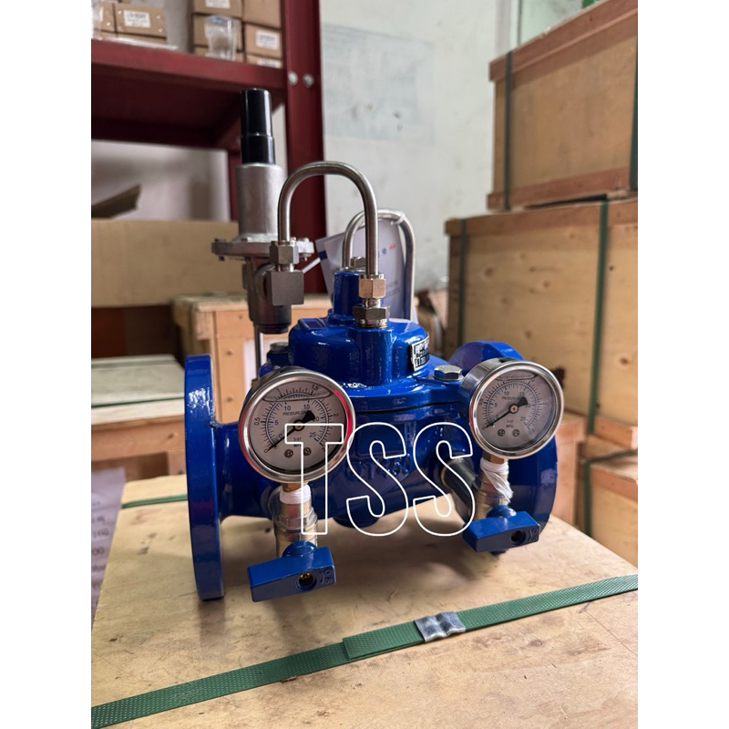 Pressure Relief Valve PRV 2inch 2" PN16