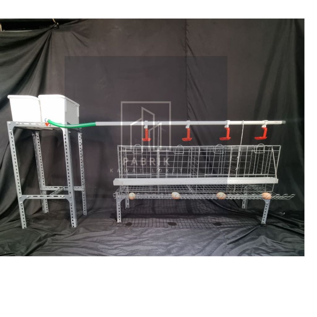 FULLSET KANDANG AYAM PETELUR 6 PINTU 6 AYAM 4 PINTU 8 AYAM