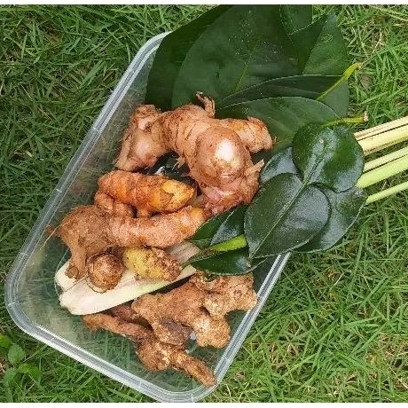 

BumbuDapurKomplit/BumbuPawonKomplit/sereh/lengkuas/jahe/kunyit/kencur/kunci/daunjeruk/daunsalam/emponempon