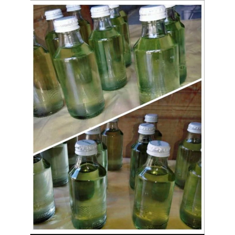 Minyak kayu putih Asli Namlea - Ambon