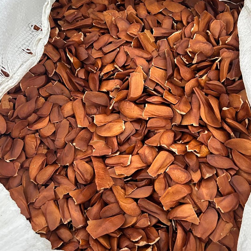 

BIJI MAHONI KULIT KUALITAS EKSPOR