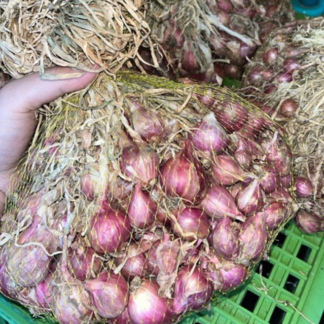 

bawang merah ikat