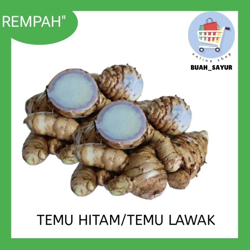

Temu ireng / temulawak segar