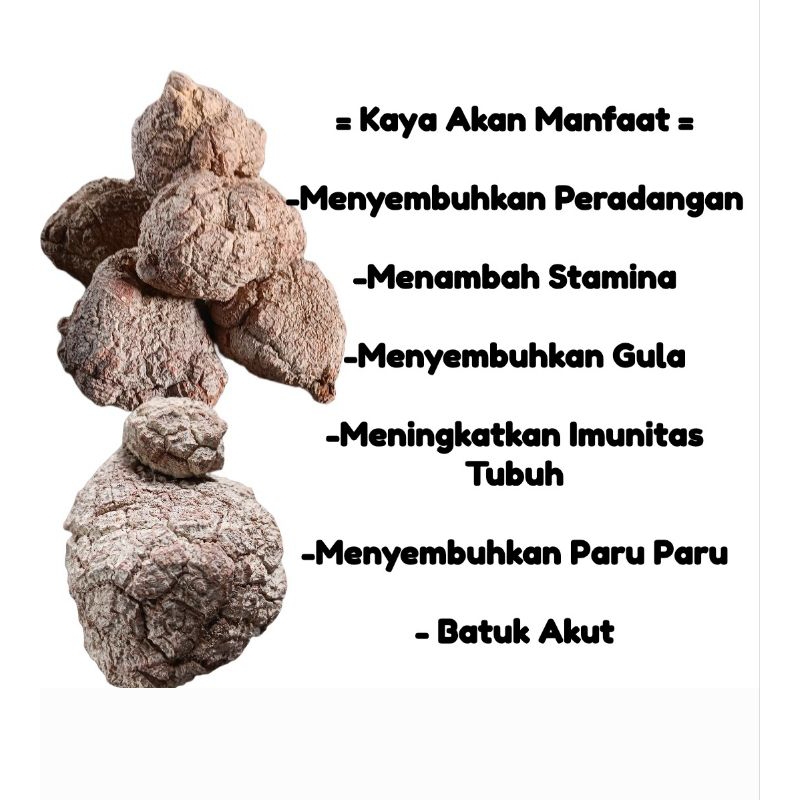 

Jamur Susu Harimau dapat disimpan dengan waktu cukup lama, letakan ditempat kering.1 pack isi 500 gr