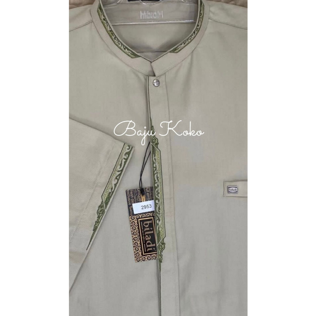 Koko Kharisma Kode 2953 Lengan Pendek Jumbo Warna Hijau Muda Ukuran 2L 3L 4L