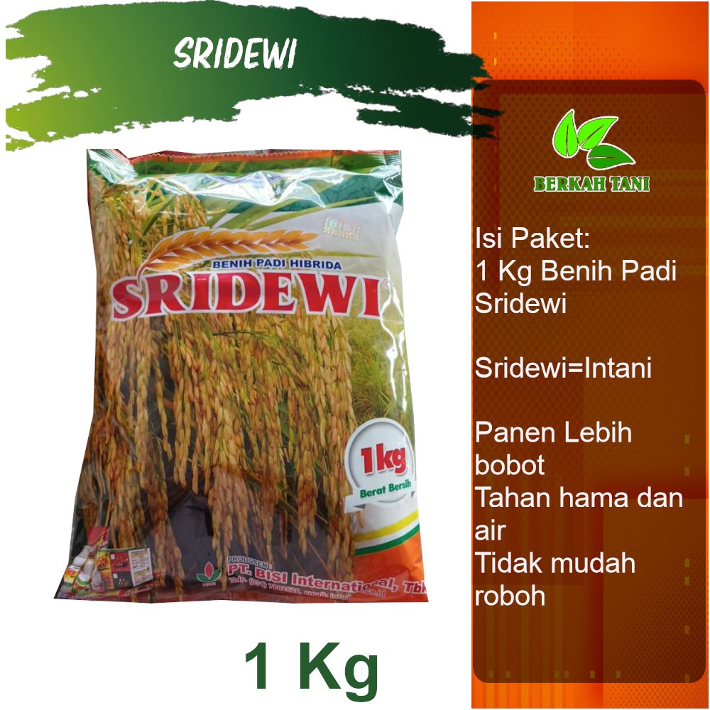 Intani 602 SRI DEWI 1 Kg Benih Padi Sawah Tadah Hujan Benih Padi Hibrida