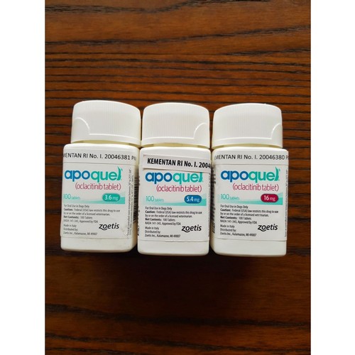 10 Tablet APOQUEL Obat Anti Gatal Eksim Radang Kulit Anjing Alergi Ampuh ◀