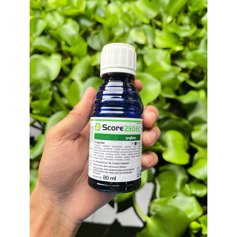 FUNGISIDA SCORE 250 EC