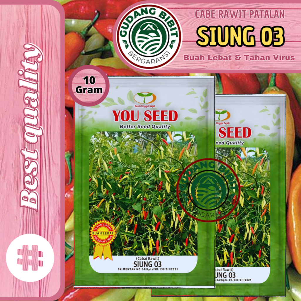 Benih Bibit Cabe Rawit Setan tipe Patalan SIUNG 03 dari You Seed isi 10 gram
