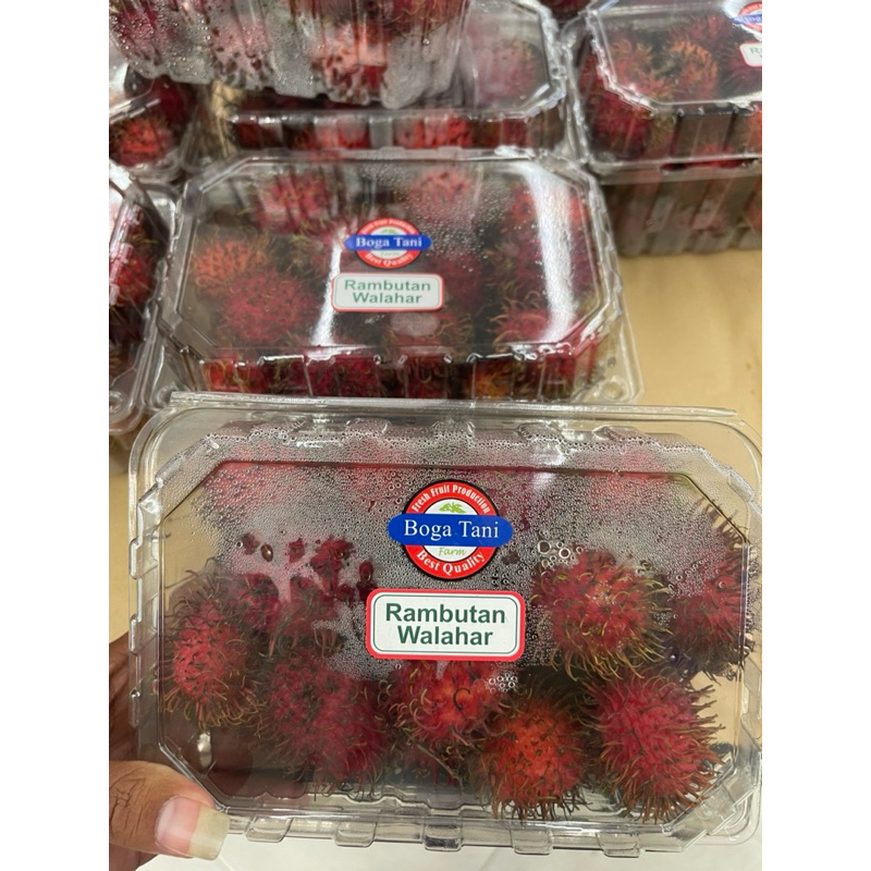 

Rambutan walahar boga tani 1 kg