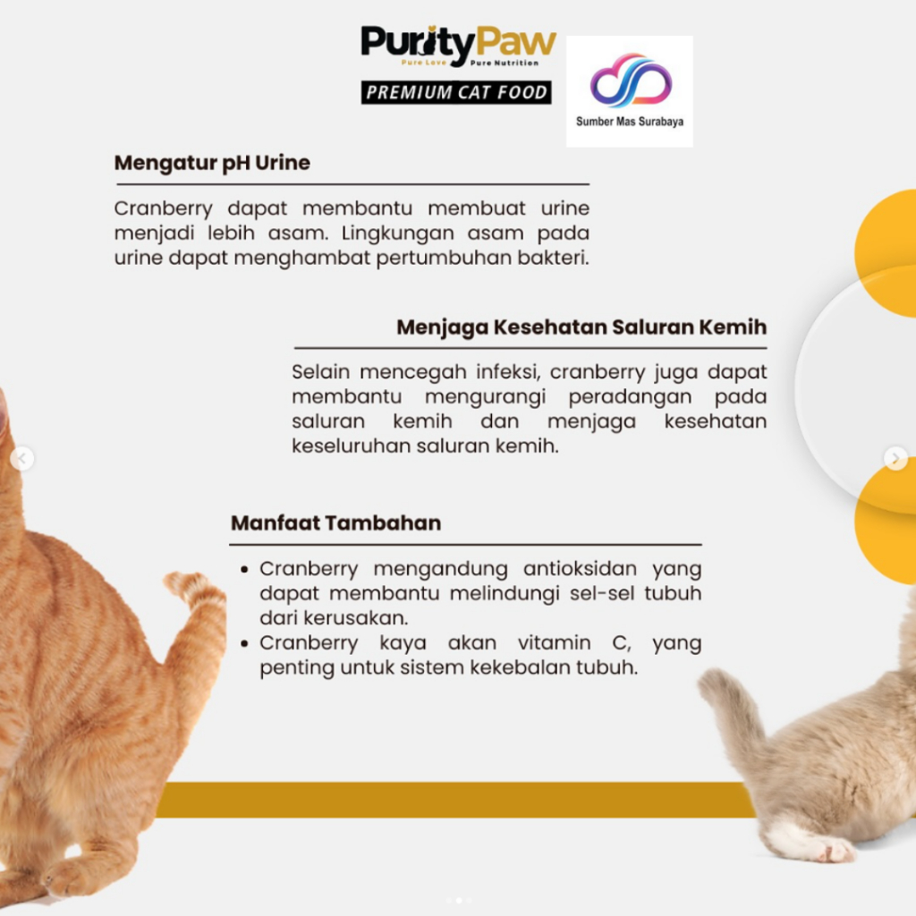 Livvicstore Purity Paw 5 Kg Super Premium Cat Food Freshpack All Life Stages Made In Europe Cat Dry