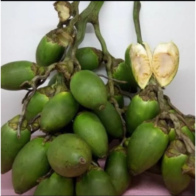 

BUAH PINANG MUDA FRESH 1KG BISA COD