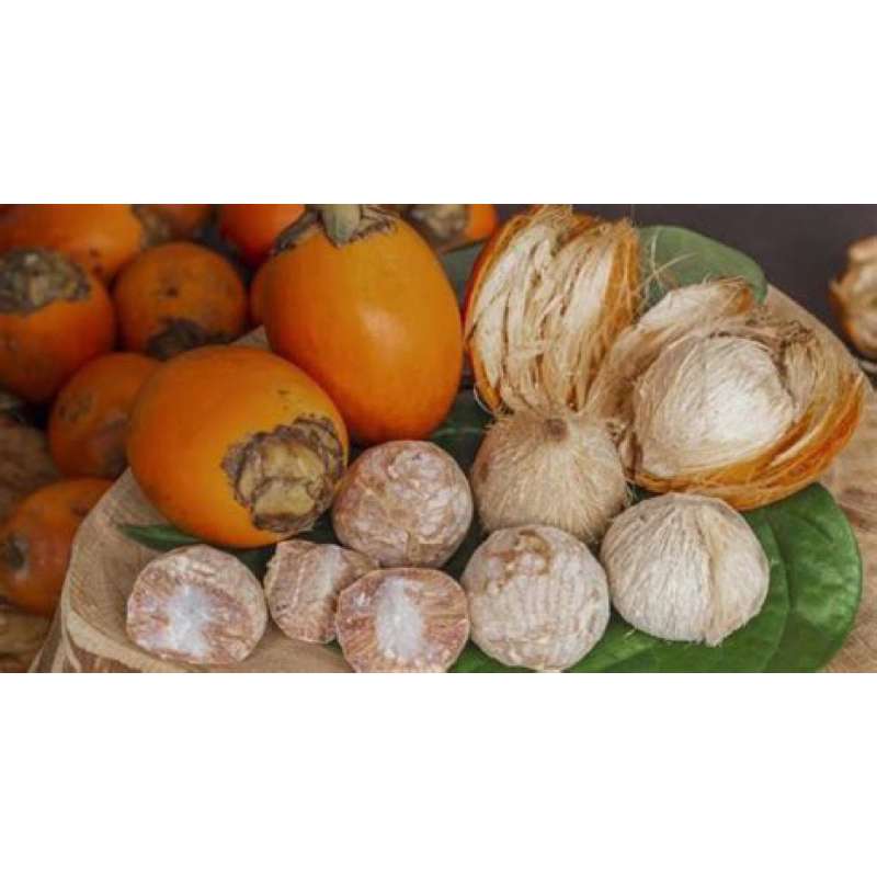

pinang kering untuk nyirih, pinang kering untuk obat, pinang kering untuk ritual, pinang kering untuk kosmetik
