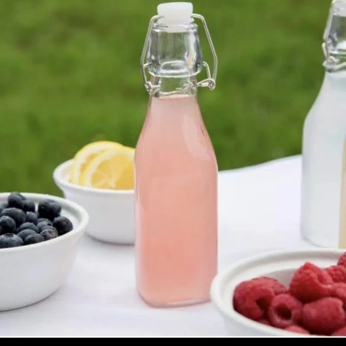 Swing Bottle Botol Tinggi Klip Kait Kedap Tutup Karet Putih Kapasitas 500ML Botol Saji Minuman Air T