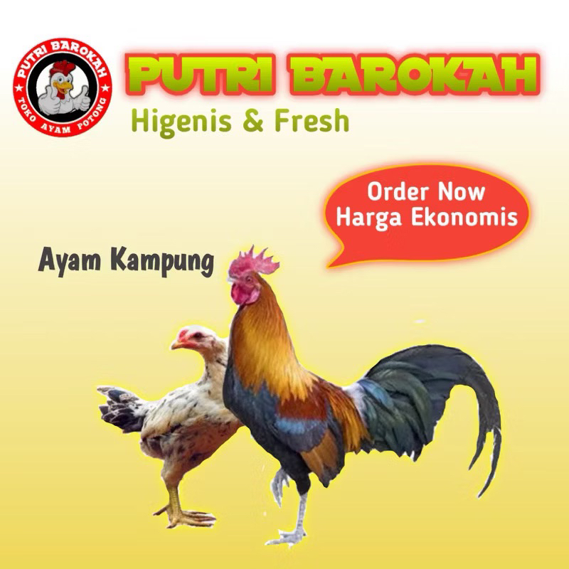 

Ayam kampung asli/Ayam Fresh/Ayam segar