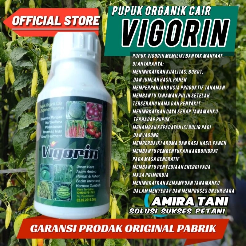 PUPUK VIGORIN 500 ML asam amino dan asam humat