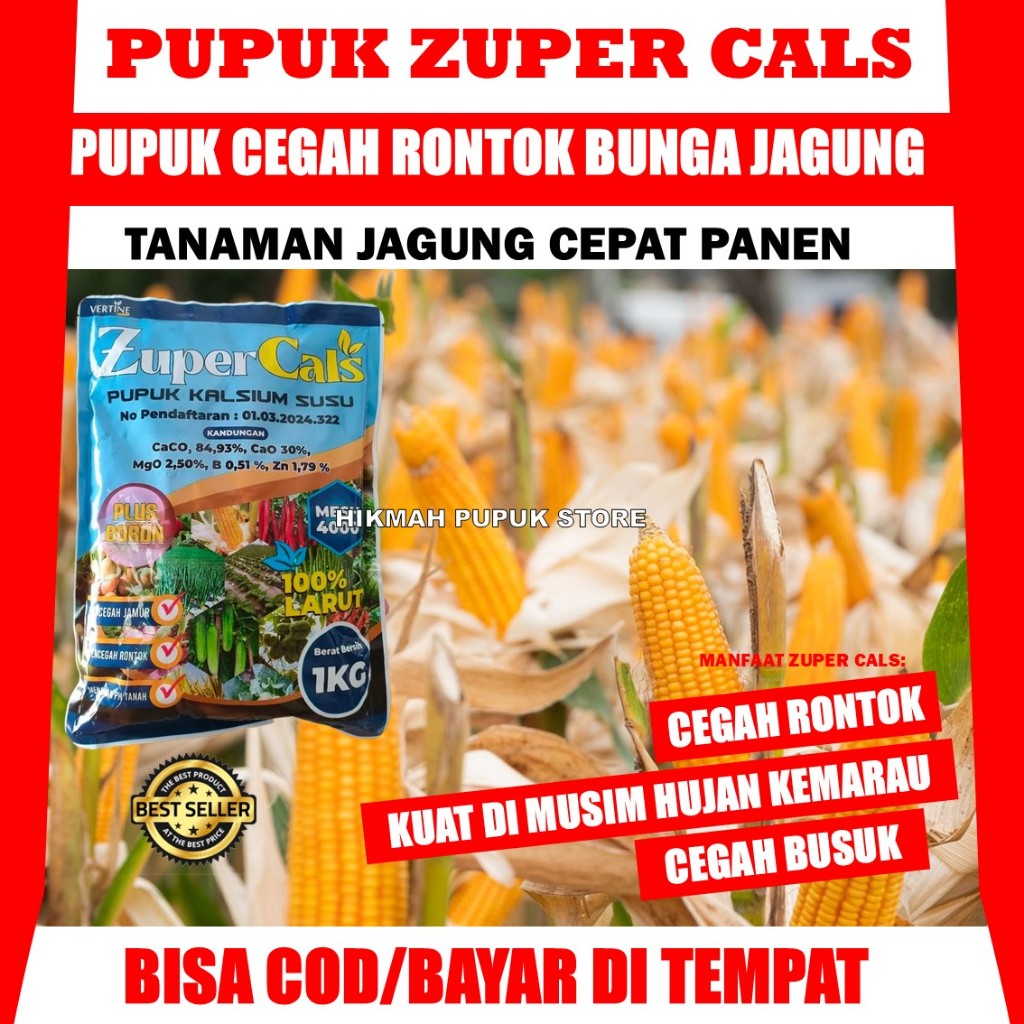 Obat Busuk Batang Jagung Terbaik ZUPERCALS 1 KG Obat Semprot Mencegah Busuk Akar, Busuk Buah, Busuk 