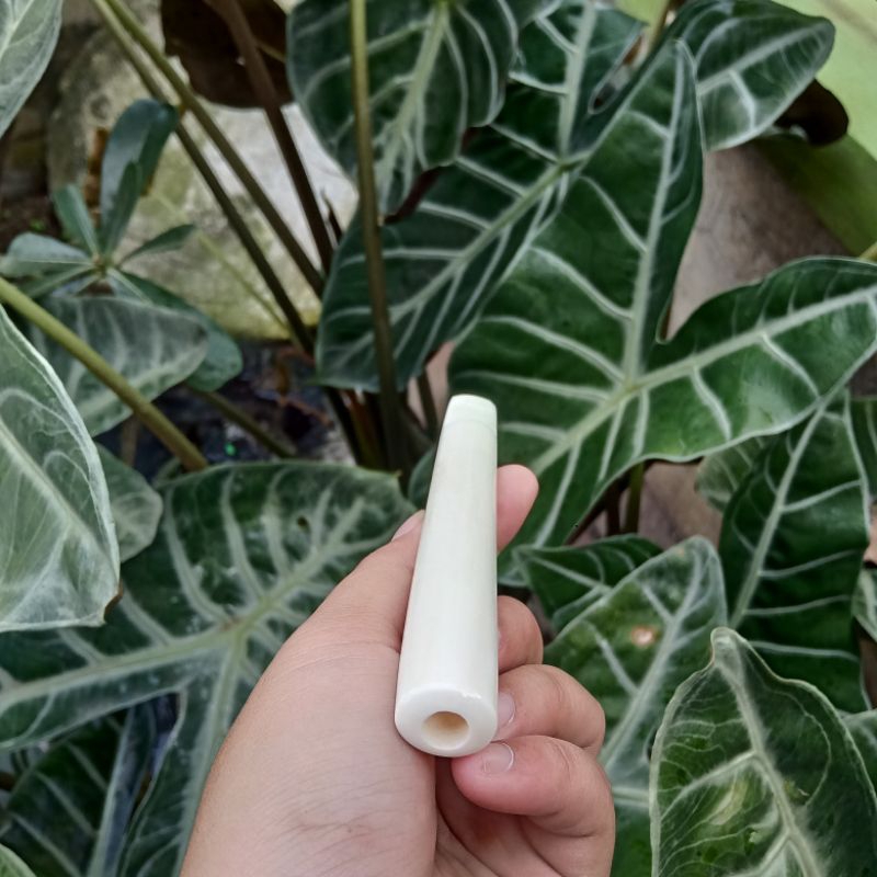 pipa pipo tulang sapi model 99 premium