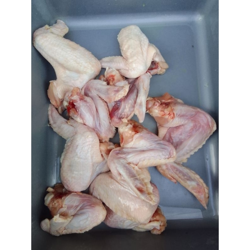 

sayap_ayam 1 kg