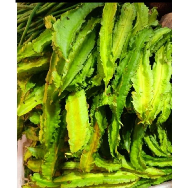 

sayur kecipir 100 gram