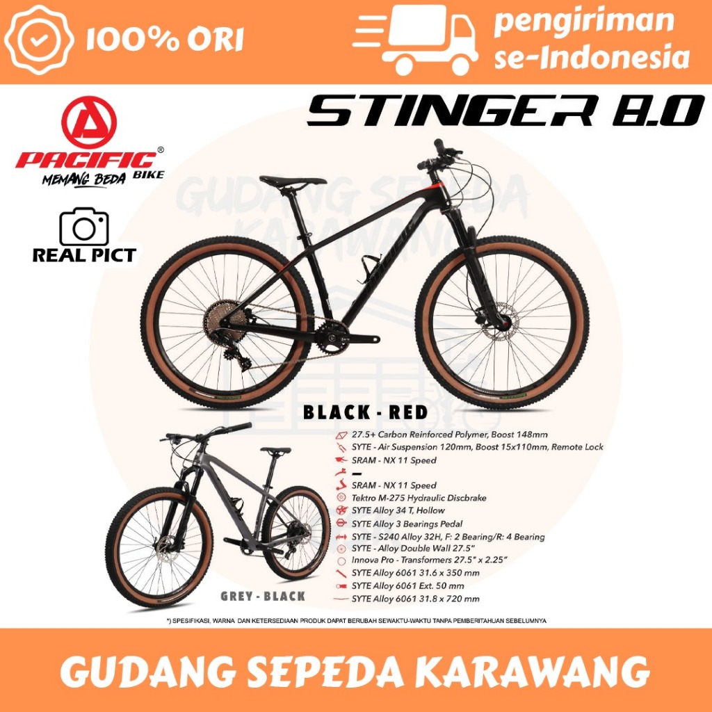 SEPEDA GUNUNG MTB PACIFIC CARBON STINGER 8.0