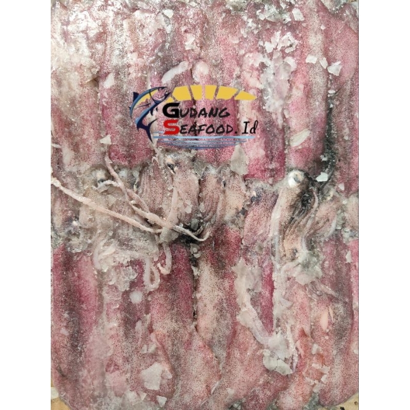 

CUMI UTUH AA SIZE 15-20 /KG