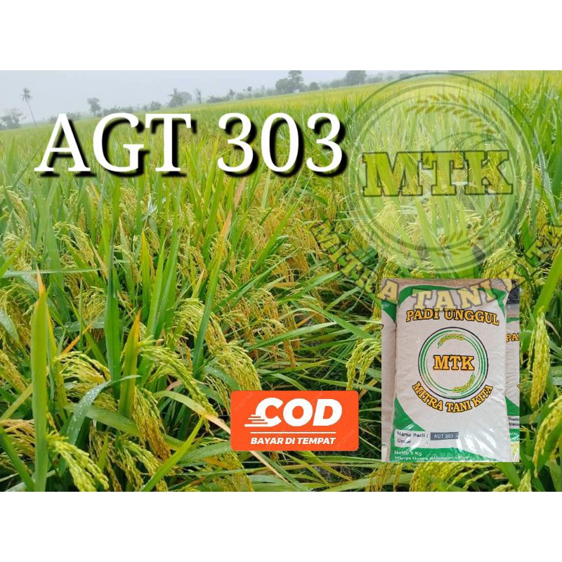 BENIH PADI 303 AGT ORIGINAL KEMASAN 5KG