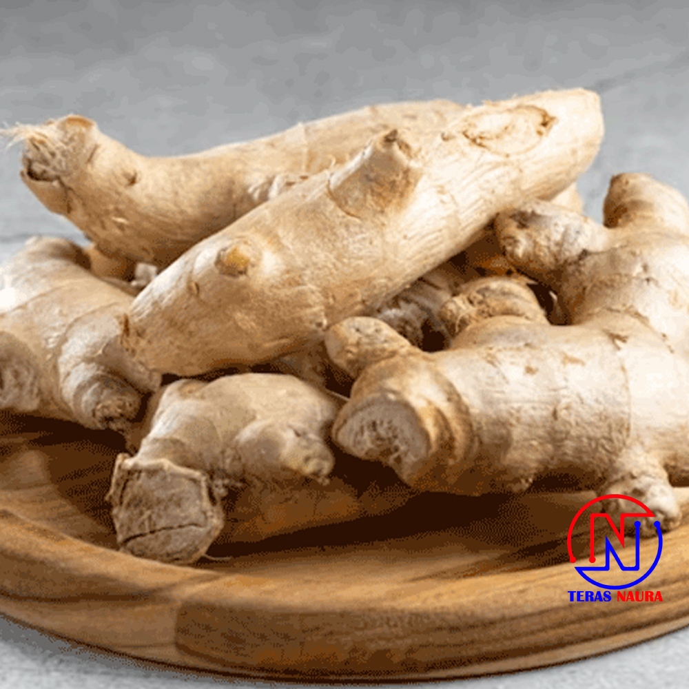 

Jahe Gajah Super 500gr - Cocok Untuk Minuman Herbal