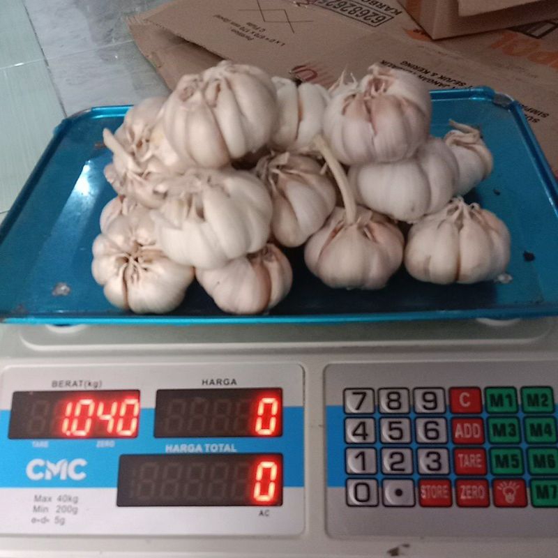 

Bawang Putih 1 kg FRESH