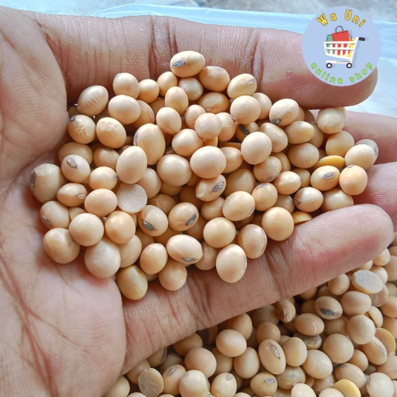 

kacang kedelai 1 kg / promo kacang kedelai