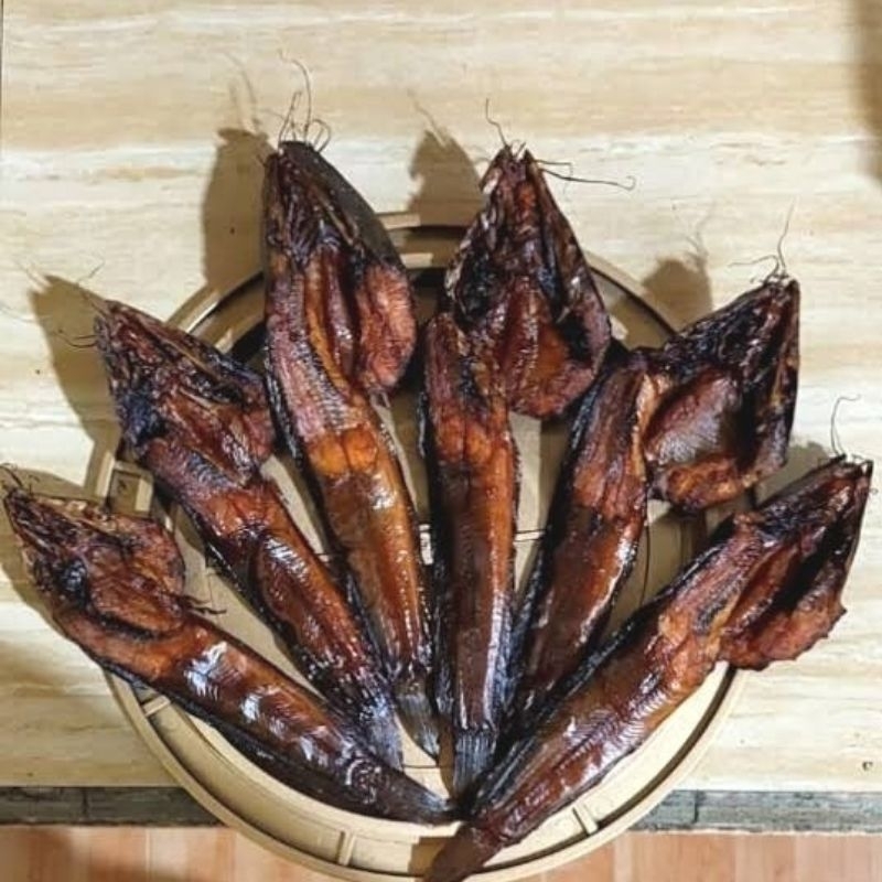 

IKAN SALAI LELE /ASAP TERMURAH