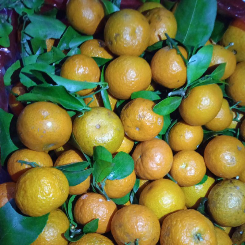 

jeruk santang IMPORT MANIS 500 gram