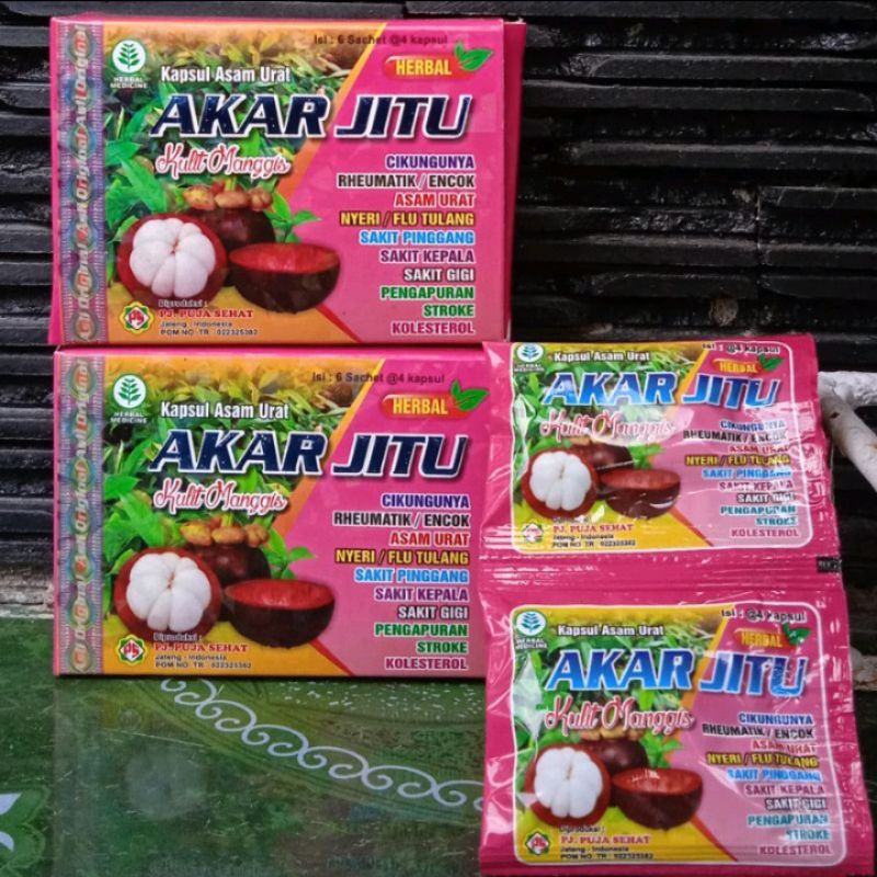 

Akar Jitu Kulit Manggis