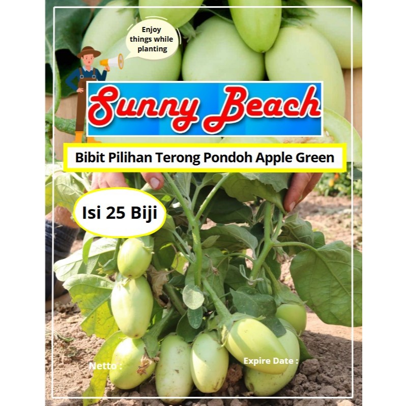 Bibit Pilihan Terong Pondoh Apple Green | Benih Terong Bulat Hijau |Terong Pondoh