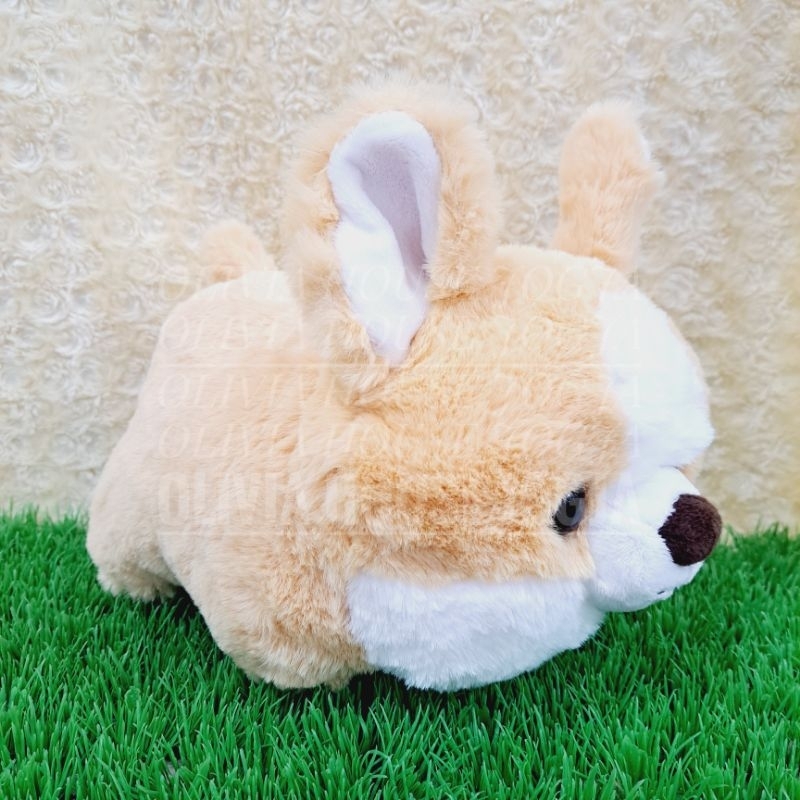 Boneka Lying Corgy Dog Boneka Gembul Anjing Corgy Oren Putih Boneka Tiduran Dog Corgy