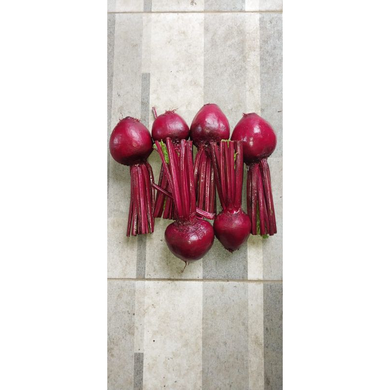 

RB22 1 kg buah bit fresh organik untuk bumil hb rendah