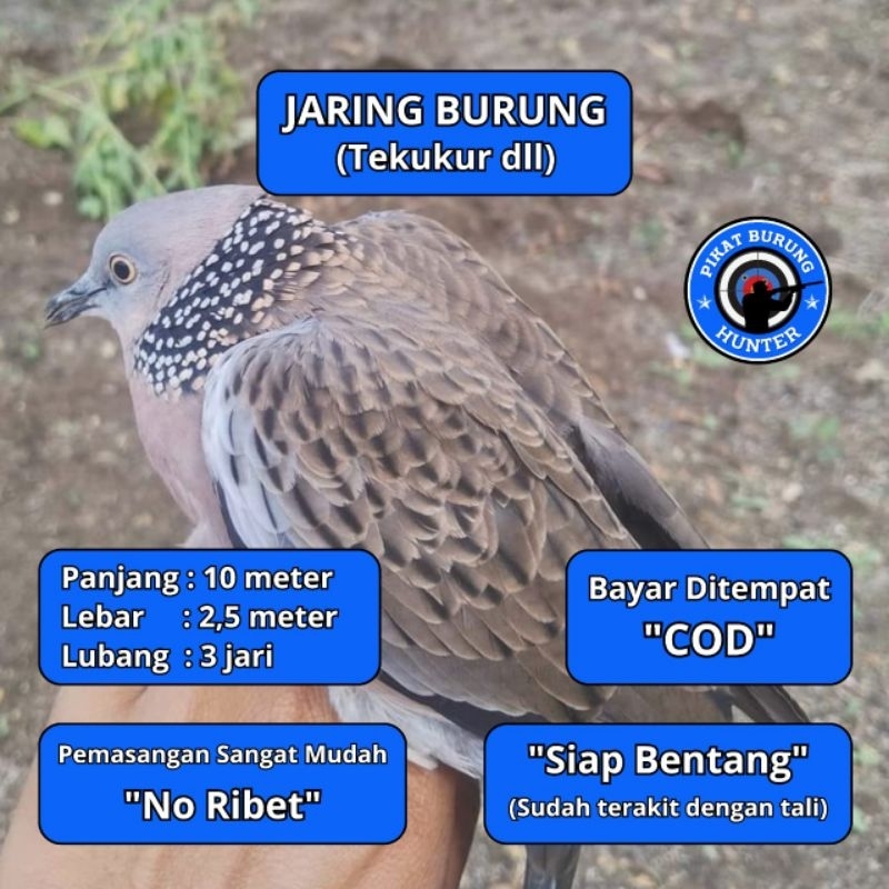 JARING BURUNG TEKUKUR JALA JARING BURUNG TEKUKUR JARING JALA PIKAT SEMUA BURUNG BESAR PROMO JARING M