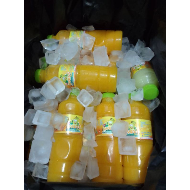 

Jus Mangga - Mango Juice 330ml