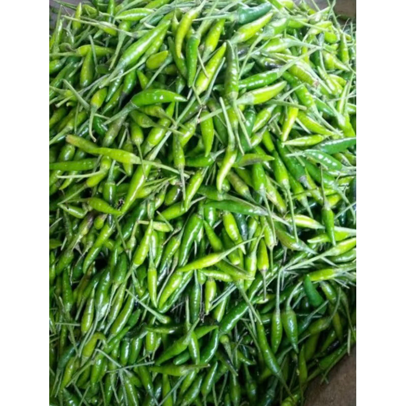 

cabe rawit hijau 100gram