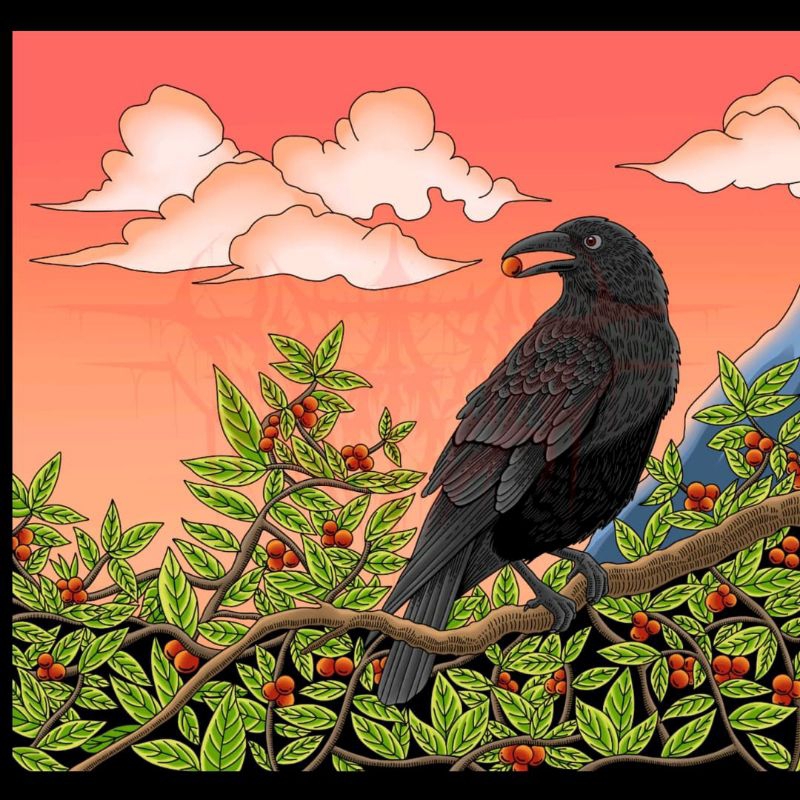 

Biji Kopi Utuh The Hidden Swargi Coffe Roastr