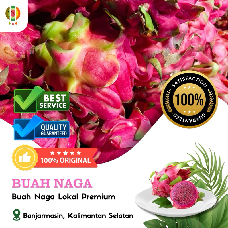 

Buah Naga (Terbaik)