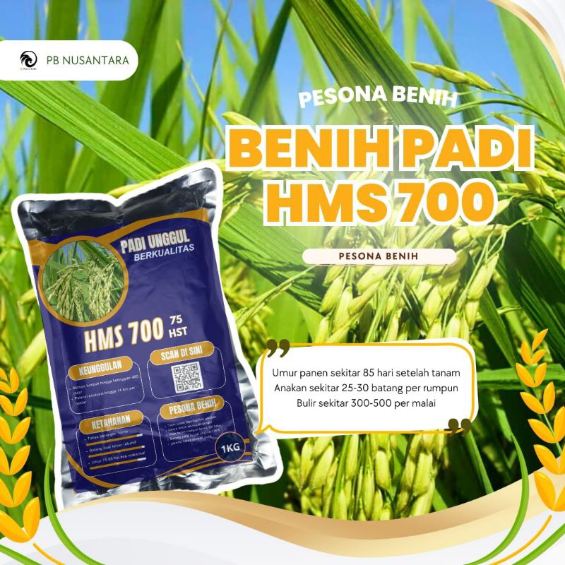 Benih padi HMS 700 ORIGINAL 1 kg bibit padi Unggul