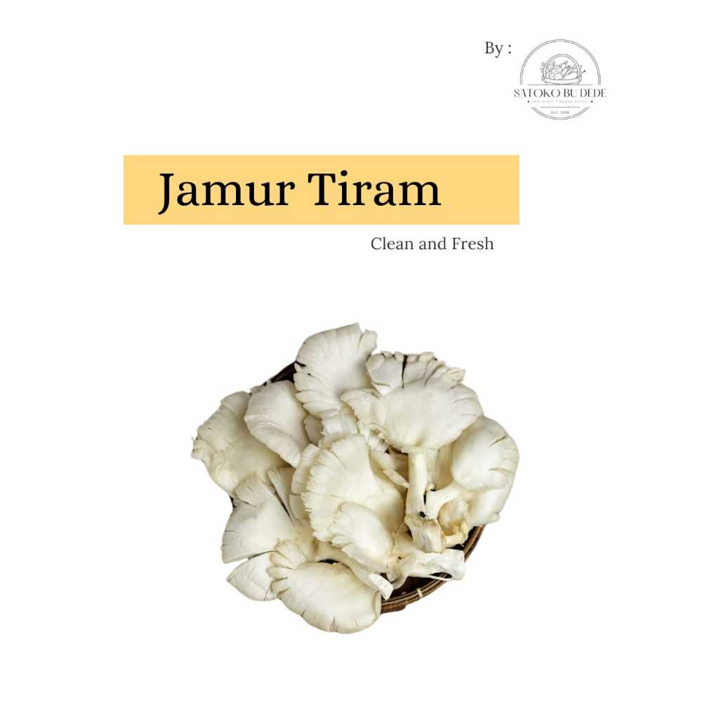 

Jamur Tiram