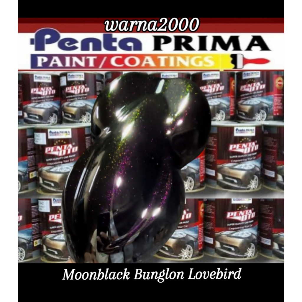 Moonblack Bunglon Lovebird cat mobil & motor