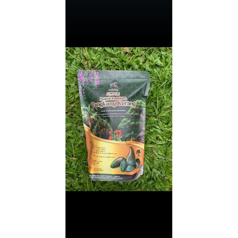 pupuk kalsium cangkang kerang hijau