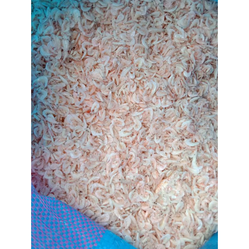 

ikankeringterinasi/teritoge