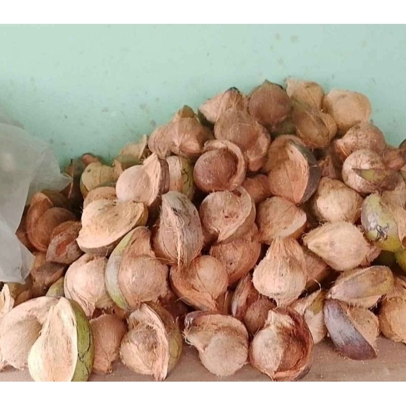 

KELAPA TUA UTUH FRESS