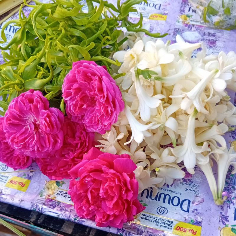 

KEMBANG KUM KUM WANGI DAN SEGAR SATU KANTONG KECIL 40 555